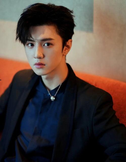 陈哲远赵露丝爆料了吗视频,幕后真相大揭秘